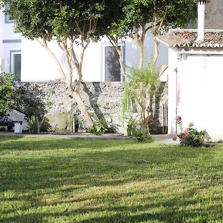City Center, 200 Meters To Marina, Walk To Everything, Private Yard And Garden Ponta Delgada  Exterior photo