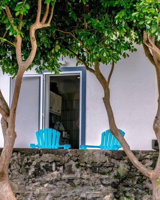 City Center, 200 Meters To Marina, Walk To Everything, Private Yard And Garden Ponta Delgada  Exterior photo